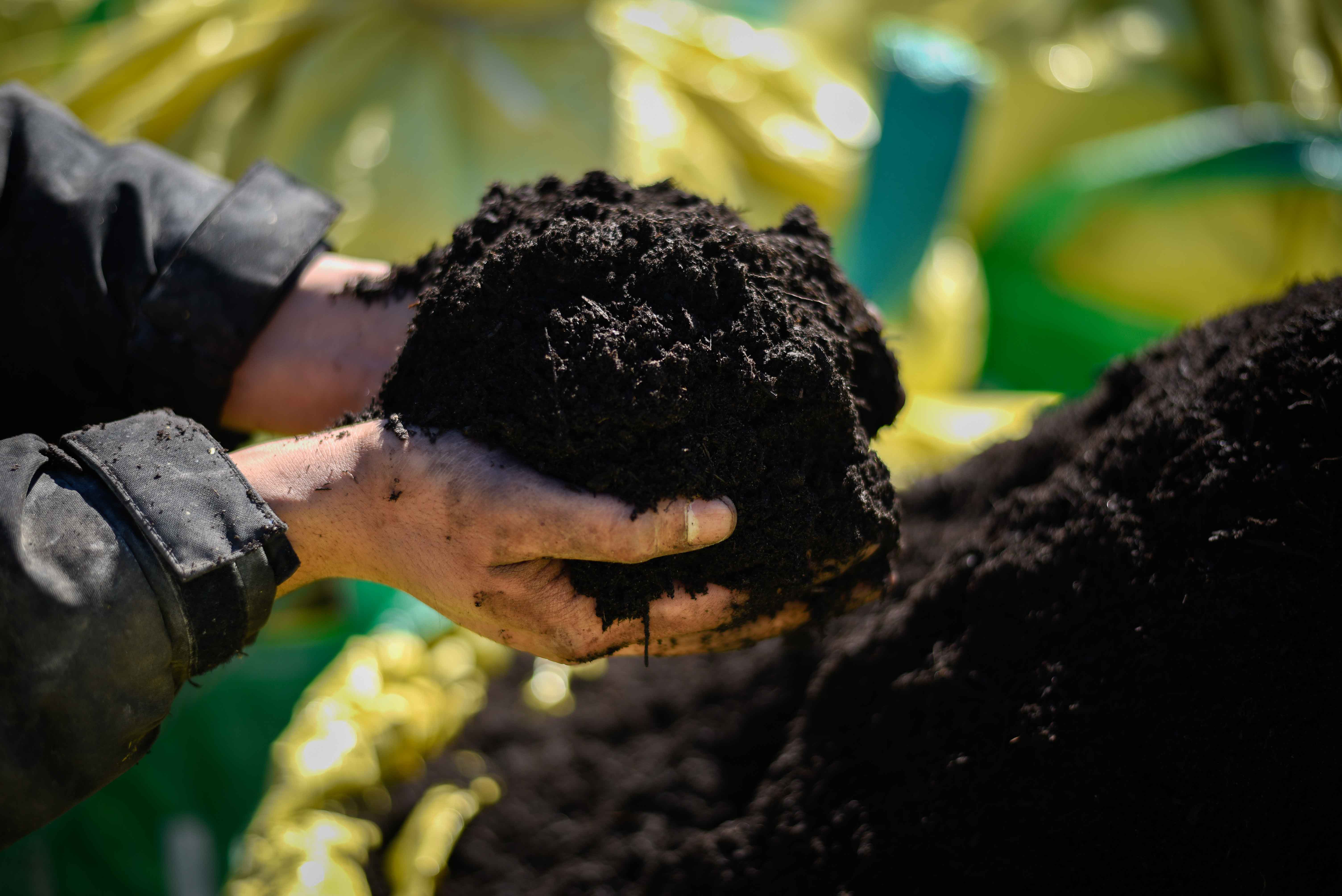 Black Garden Soil